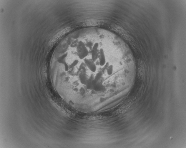 X0000070360683200606301831