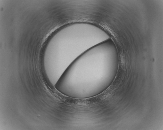 X0000070360684200606301831