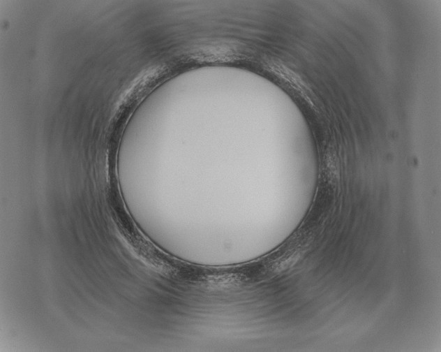 X0000070360686200606301831