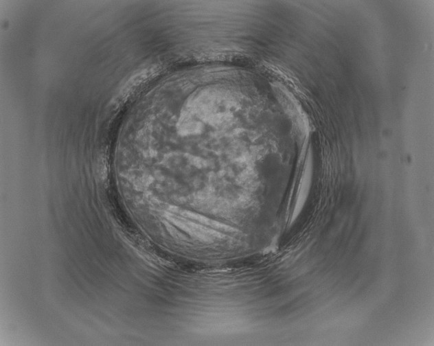 X0000070360687200606301831