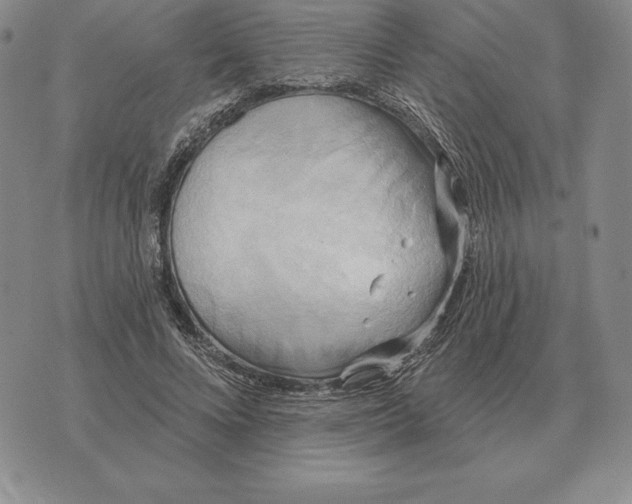 X0000070360688200606301831