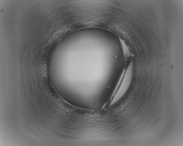 X0000070360689200606301831