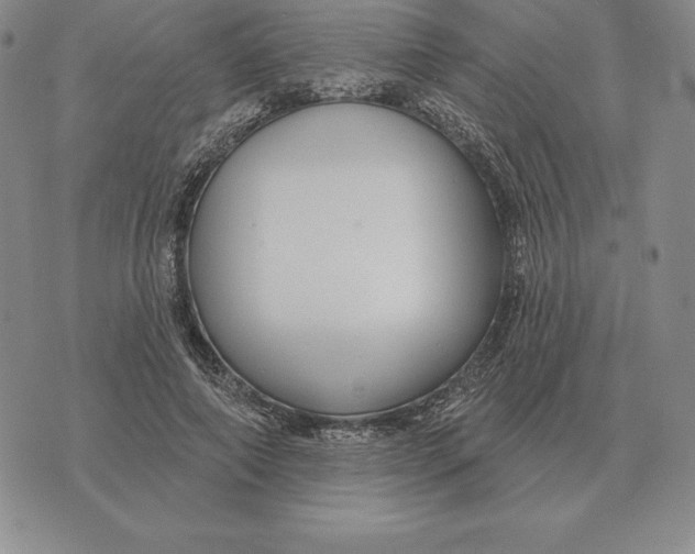 X0000070360690200606301831