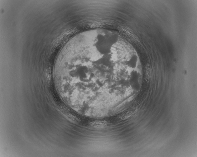 X0000070360691200606301831