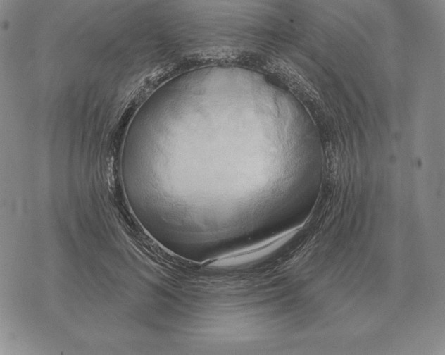 X0000070360692200606301831