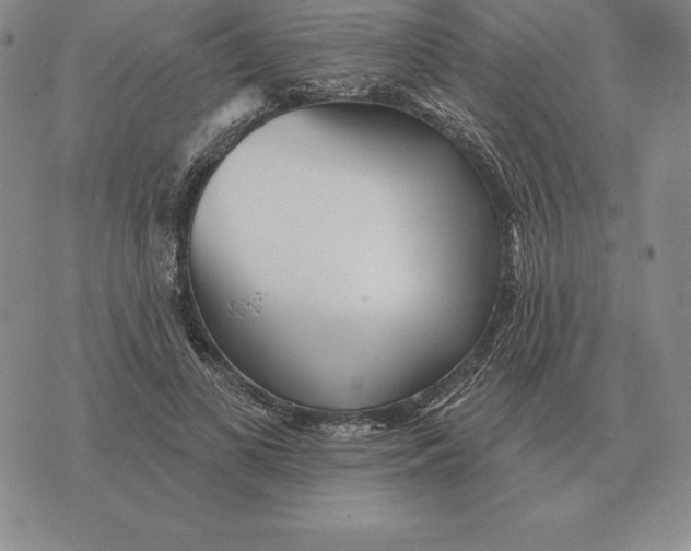 X0000070360693200606301831