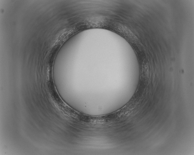 X0000070360694200606301831