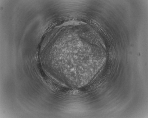 X0000070360695200606301831