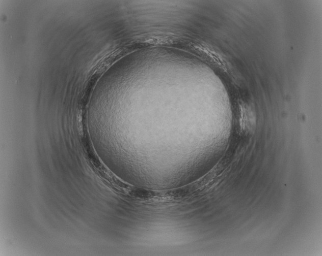 X0000070360696200606301831