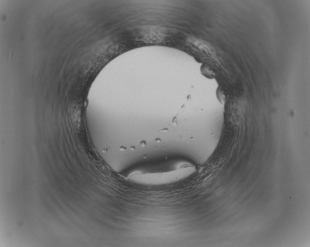 X0000070360697200606301831