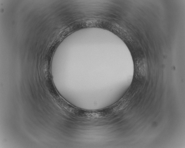 X0000070360698200606301831