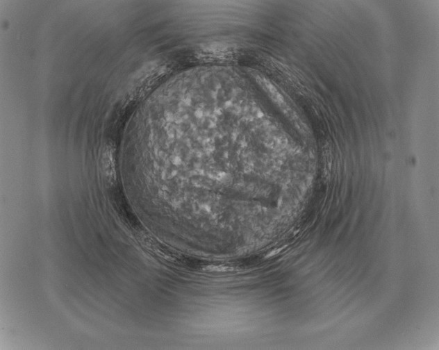 X0000070360699200606301831