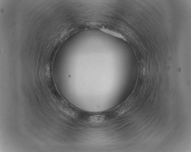 X0000070360700200606301831