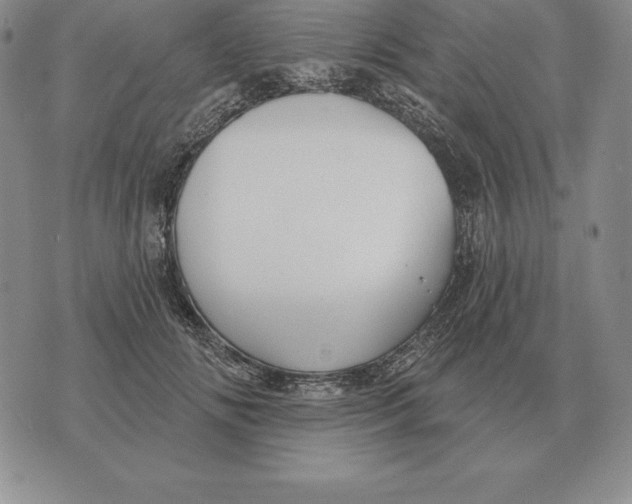 X0000070360702200606301831