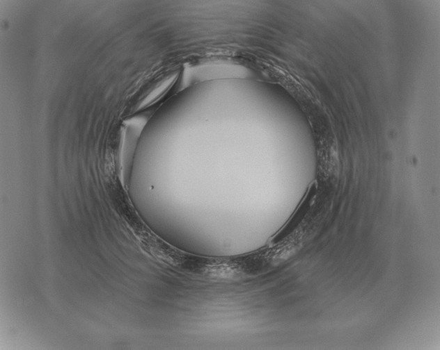 X0000070360704200606301831