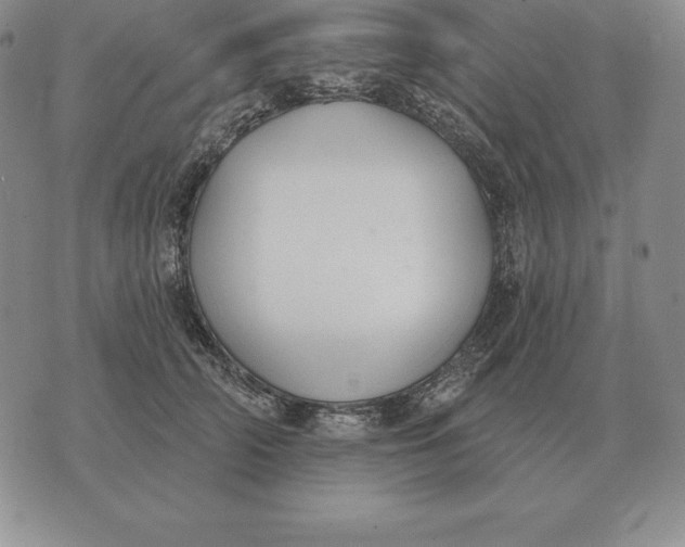 X0000070360706200606301831