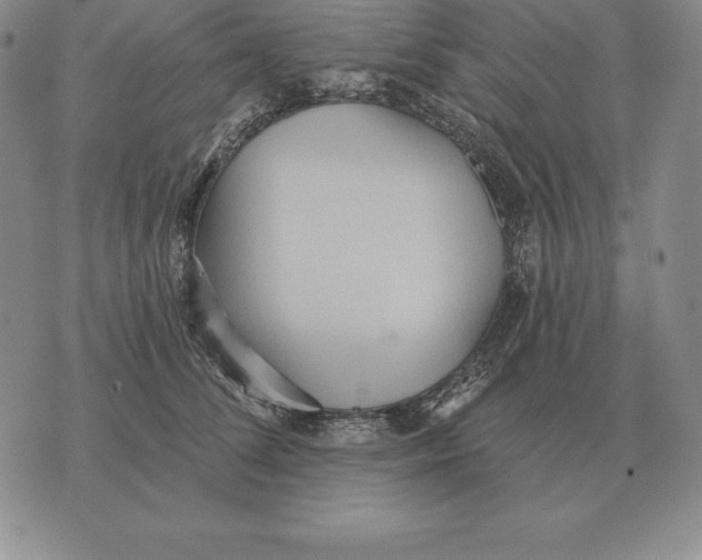 X0000070360708200606301831