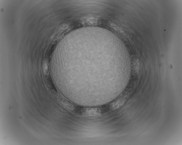 X0000070360709200606301831