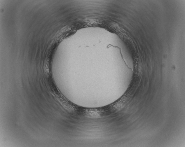 X0000070360710200606301831