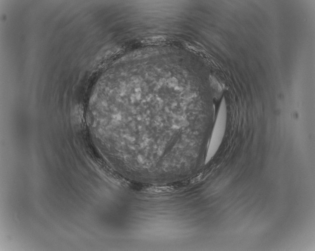 X0000070360711200606301831