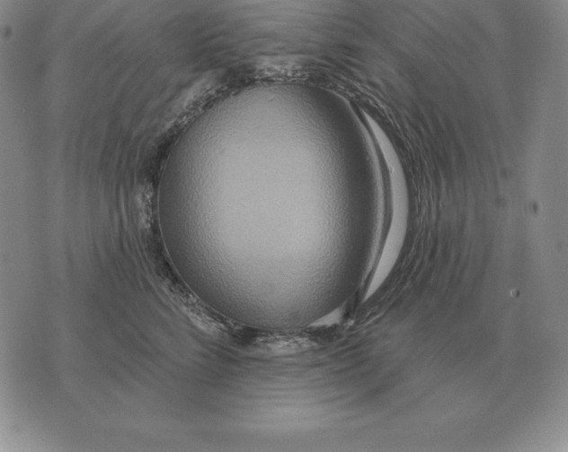 X0000070360712200606301831