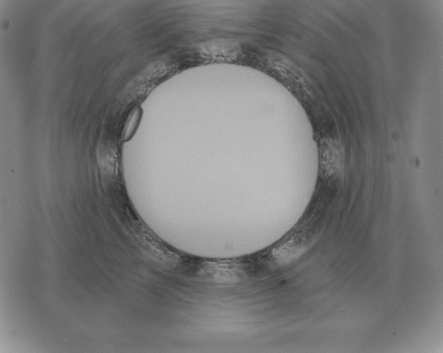 X0000070360713200606301831