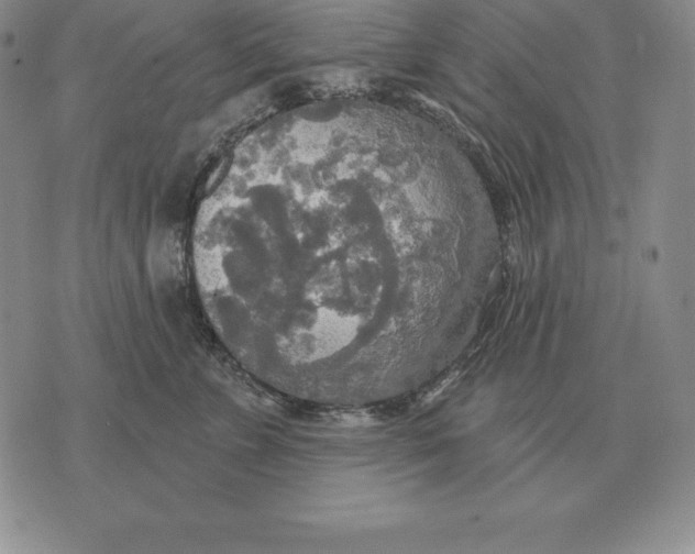 X0000070360715200606301831