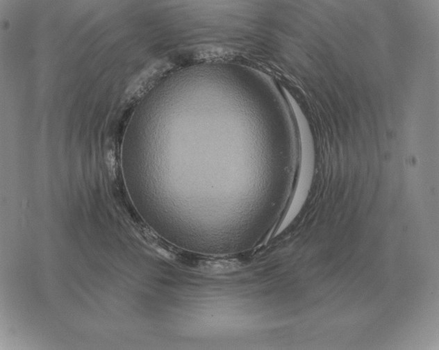 X0000070360716200606301831