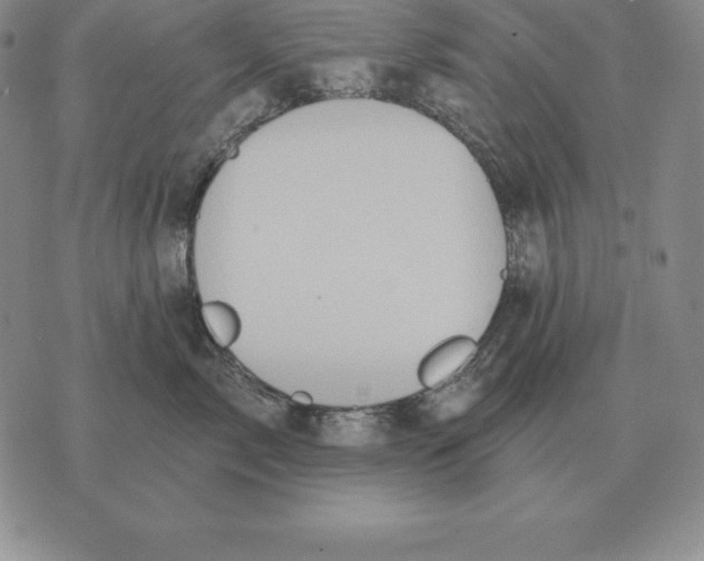 X0000070360717200606301831