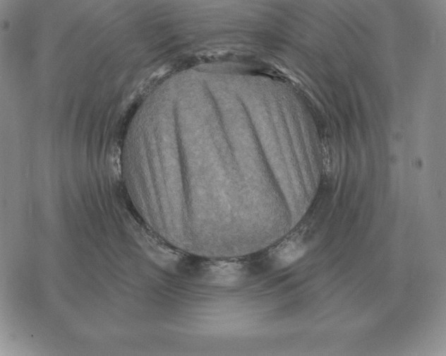 X0000070360718200606301831