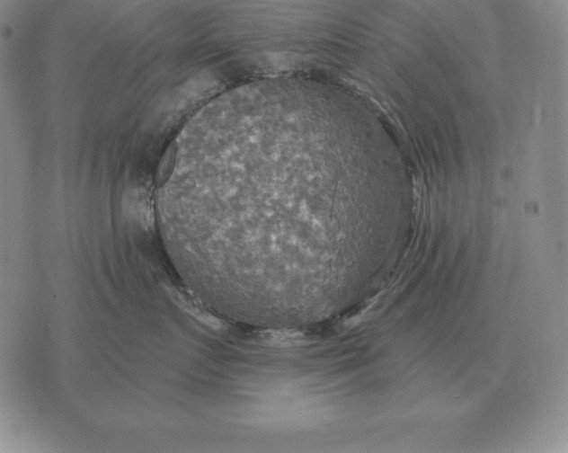 X0000070360719200606301831