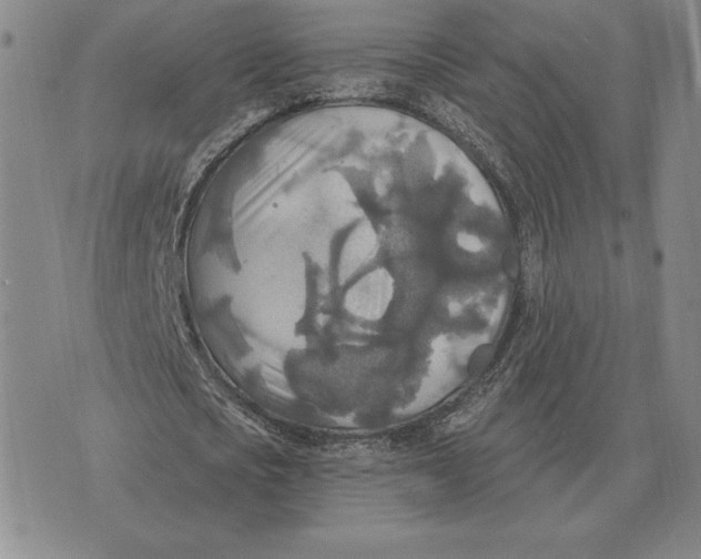 X0000070360721200606301830