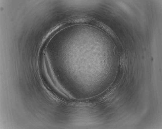 X0000070360722200606301830