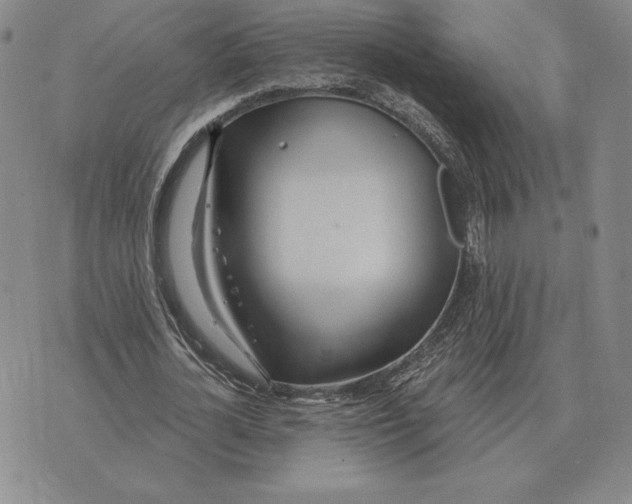 X0000070360724200606301830