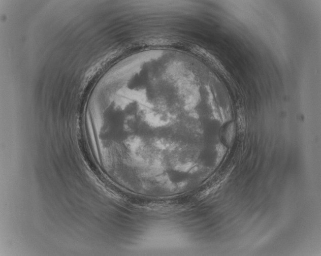 X0000070360725200606301830