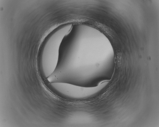 X0000070360726200606301830