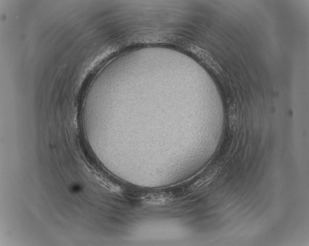 X0000070360727200606301830