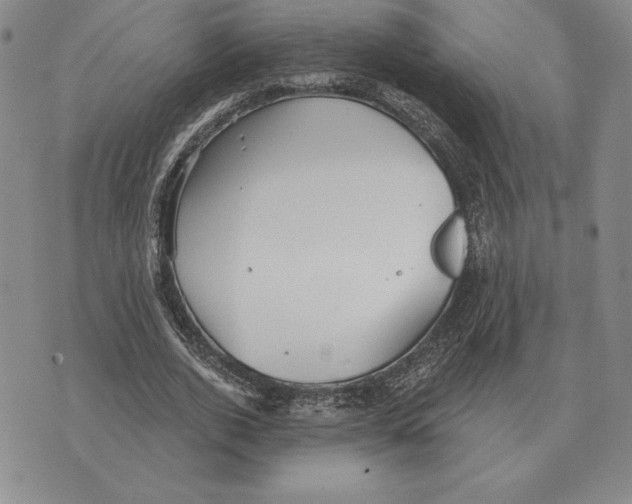 X0000070360728200606301830