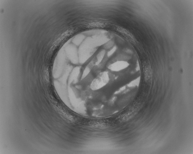 X0000070360729200606301830