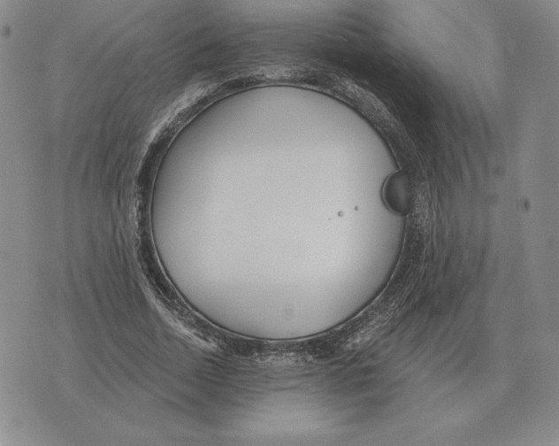 X0000070360730200606301830