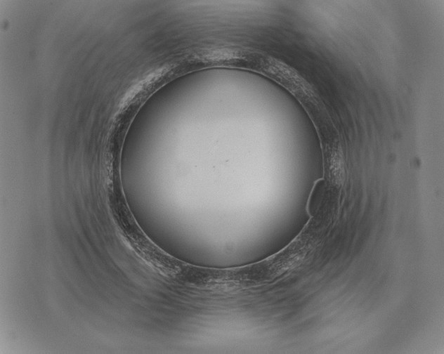 X0000070360732200606301830