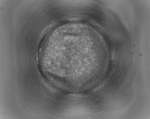 X0000070360733200606301830