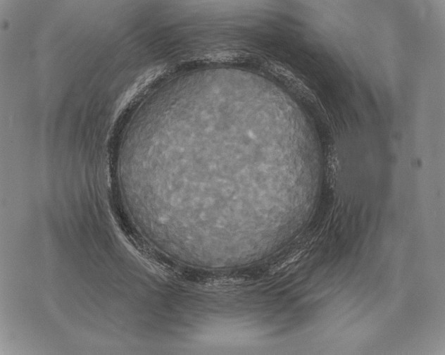 X0000070360734200606301830