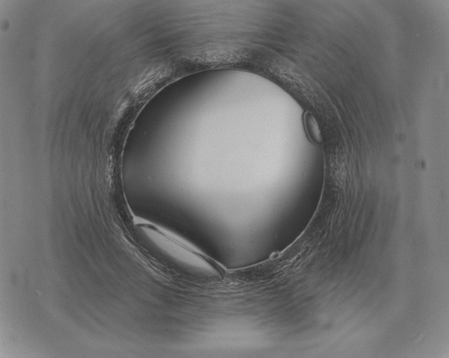 X0000070360735200606301830