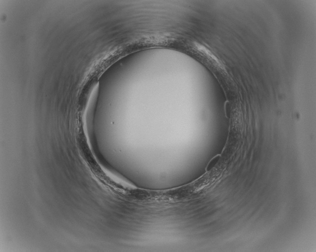 X0000070360736200606301830