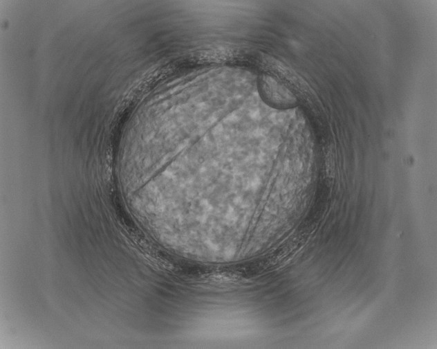 X0000070360737200606301830