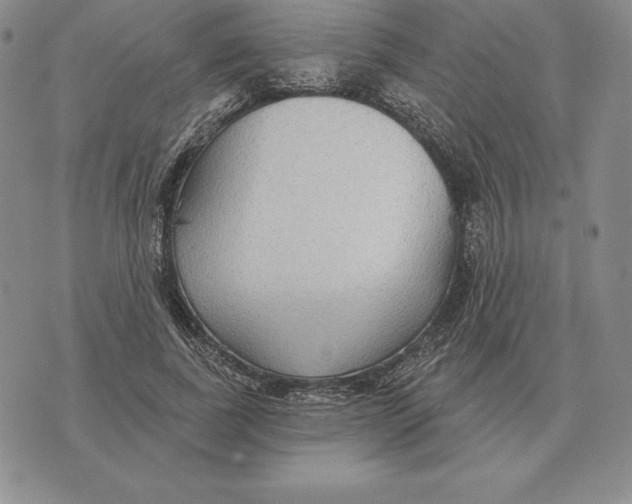 X0000070360739200606301830