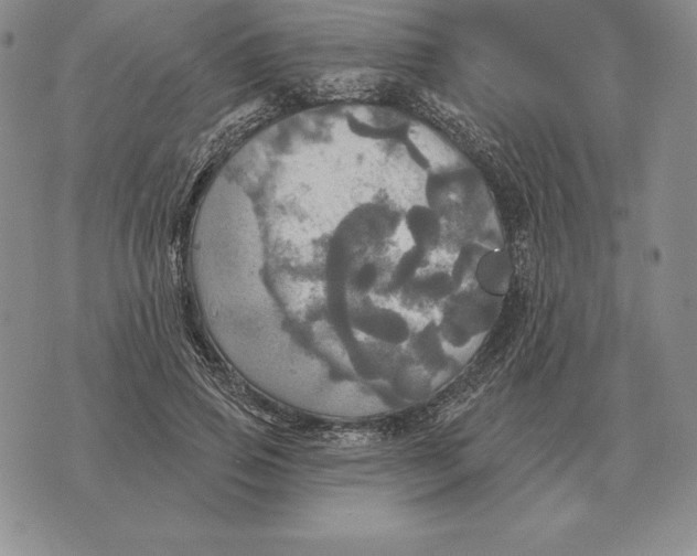 X0000070360741200606301830