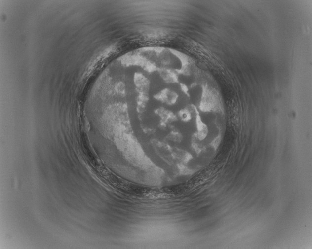 X0000070360742200606301830