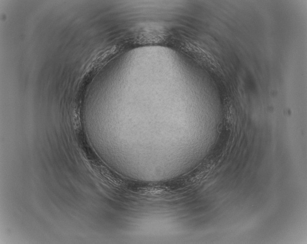 X0000070360743200606301830